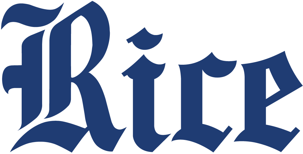 Rice Owls 2010-2016 Wordmark Logo iron on transfers for clothing